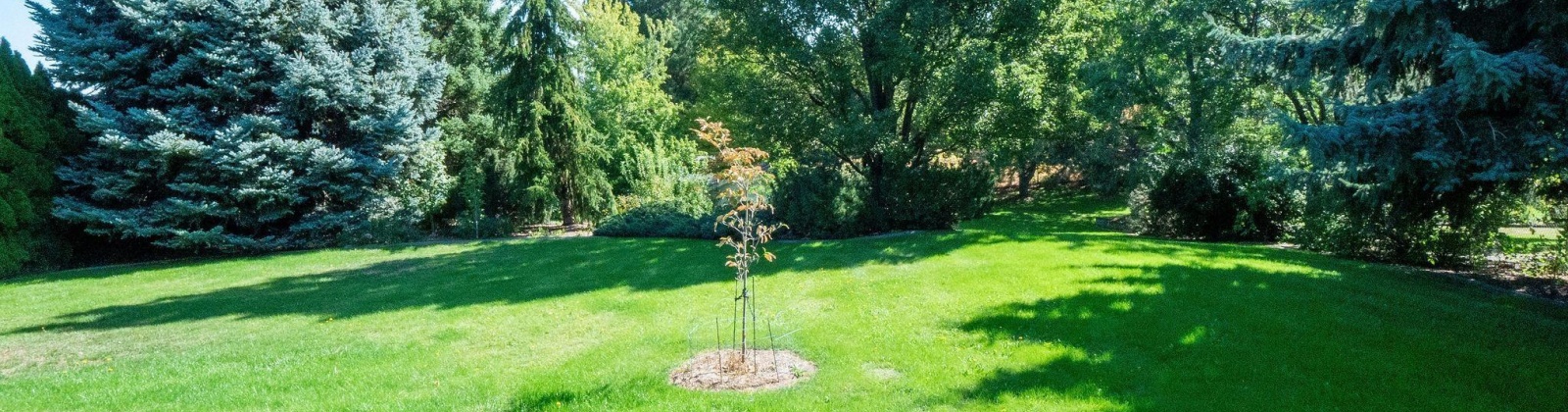 Waverly Street, Kennewick, Washington 99337, 3 Bedrooms Bedrooms, 0 ,2 BathroomsBathrooms,Houses,For Sale,Waverly Street,0,287605