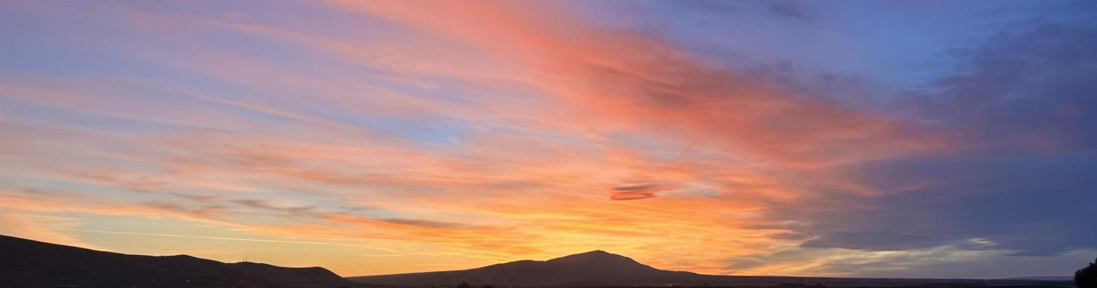 Thebes Street, West Richland, Washington 99353, 3 Bedrooms Bedrooms, 0 ,2 BathroomsBathrooms,Houses,For Rent,Thebes Street,0,289709