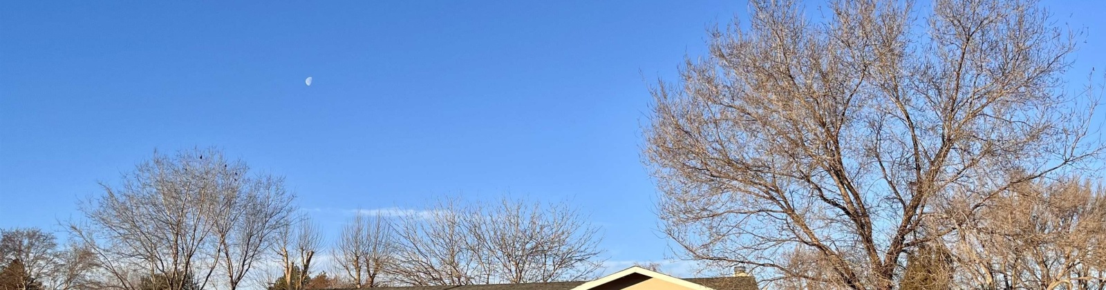 Young Street, Kennewick, Washington 99336, 3 Bedrooms Bedrooms, 0 ,1 BathroomBathrooms,Houses,For Sale,Young Street,0,289713