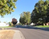 Elm Ave, Richland, Washington 99352, 3 Bedrooms Bedrooms, 0 ,1 BathroomBathrooms,Houses,For Sale,Elm Ave,0,288596