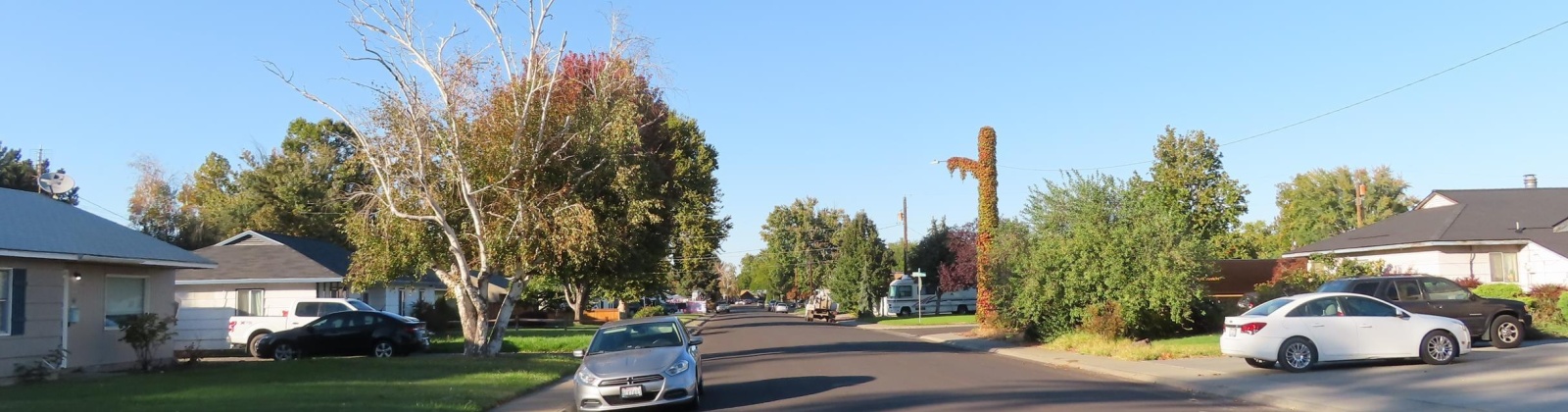 Elm Ave, Richland, Washington 99352, 3 Bedrooms Bedrooms, 0 ,1 BathroomBathrooms,Houses,For Sale,Elm Ave,0,288596