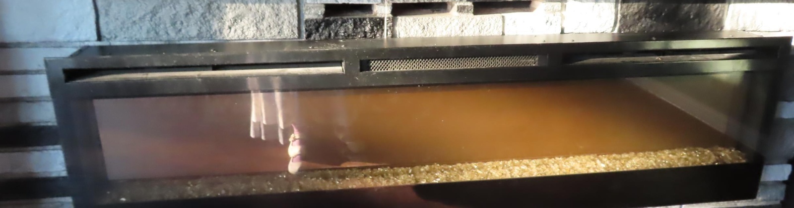 Elm Ave, Richland, Washington 99352, 3 Bedrooms Bedrooms, 0 ,1 BathroomBathrooms,Houses,For Sale,Elm Ave,0,288596