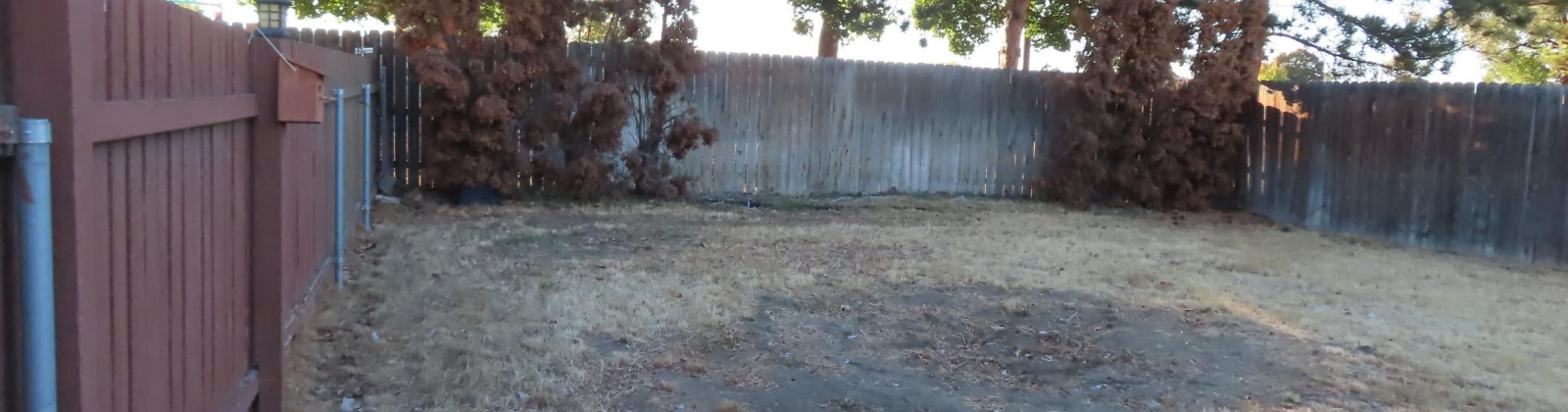 Elm Ave, Richland, Washington 99352, 3 Bedrooms Bedrooms, 0 ,1 BathroomBathrooms,Houses,For Sale,Elm Ave,0,288596