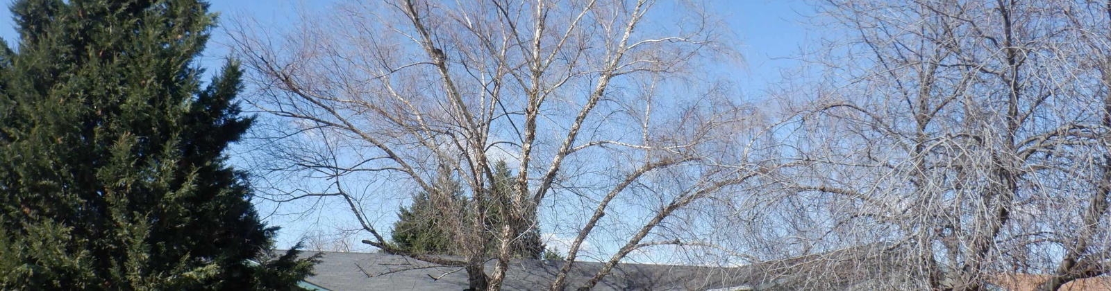 11th Ave, Pasco, Washington 99301, 3 Bedrooms Bedrooms, 0 ,3 BathroomsBathrooms,Manufactured Homes,For Sale,11th Ave,0,289743