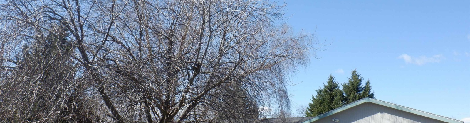 11th Ave, Pasco, Washington 99301, 3 Bedrooms Bedrooms, 0 ,3 BathroomsBathrooms,Manufactured Homes,For Sale,11th Ave,0,289743