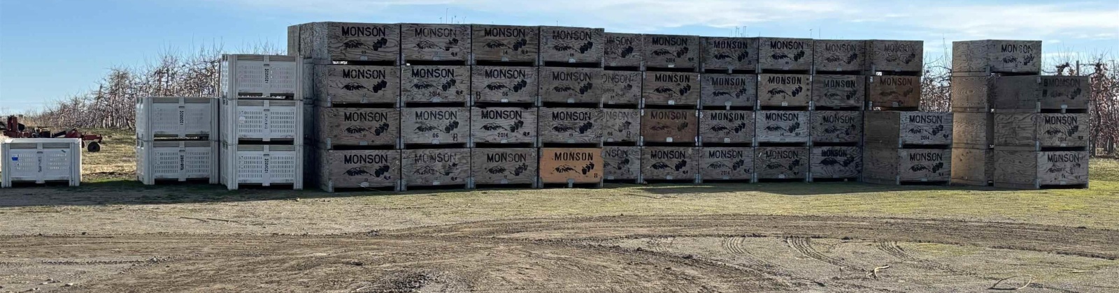 Sagehill Road, Mesa, Washington 99343-0000, 0 , 0 ,0,Agricultural Land,For Sale,Sagehill Road,0,289773