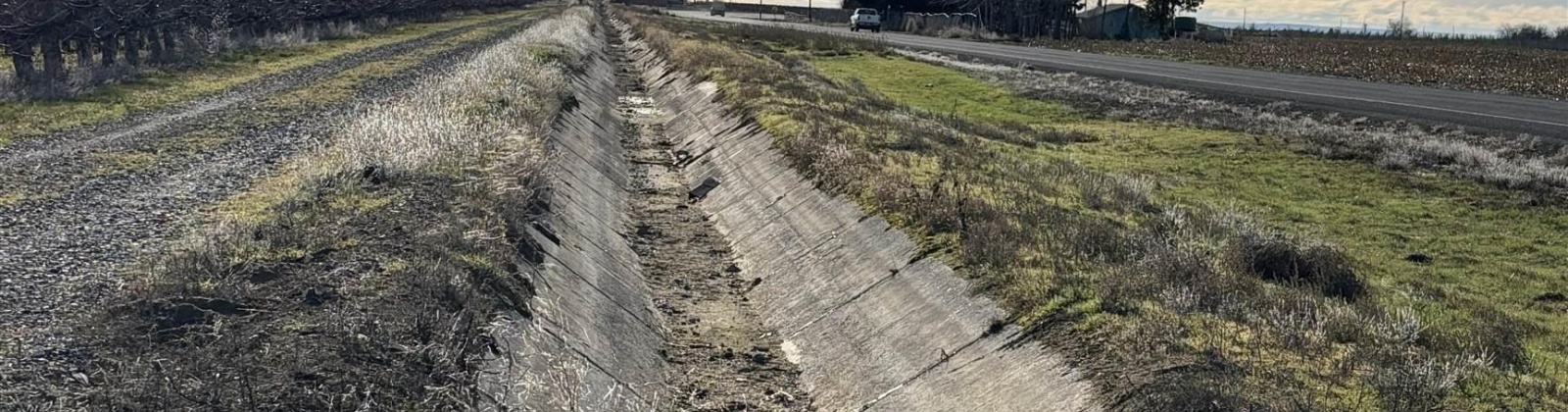 Sagehill Road, Mesa, Washington 99343-0000, 0 , 0 ,0,Agricultural Land,For Sale,Sagehill Road,0,289773