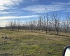 Sagehill Road, Mesa, Washington 99343-0000, 0 , 0 ,0,Agricultural Land,For Sale,Sagehill Road,0,289773