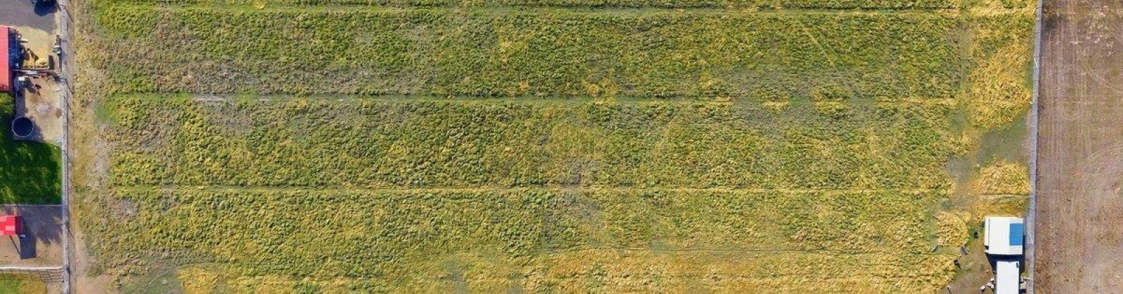 LOT 3 GUM ST, Kennewick, Washington 99337, 0 , 0 ,0,Land/lots,For Sale,LOT 3 GUM ST,0,289798