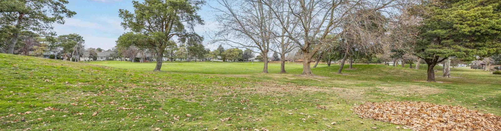 Johnson Place, Kennewick, Washington 99337, 4 Bedrooms Bedrooms, 0 ,3 BathroomsBathrooms,Houses,For Sale,Johnson Place,0,289804