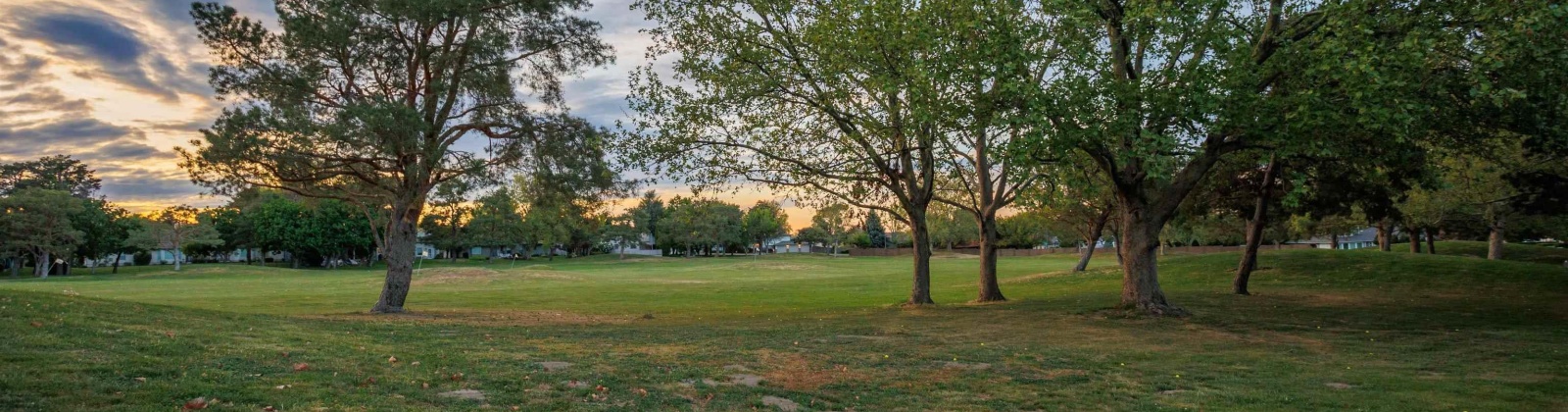 Johnson Place, Kennewick, Washington 99337, 4 Bedrooms Bedrooms, 0 ,3 BathroomsBathrooms,Houses,For Sale,Johnson Place,0,289804