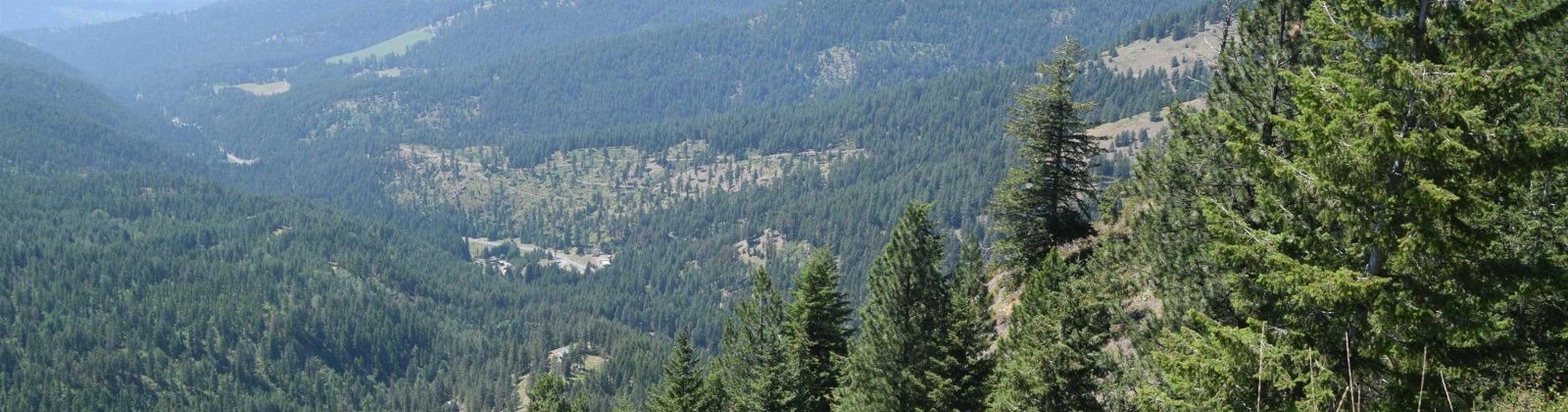 Comstock Mine Rd, Colville, Washington 99114, 0 , 0 ,0,Special Use,For Sale,Comstock Mine Rd,0,270065