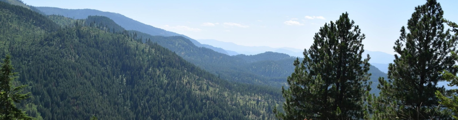 Comstock Mine Rd, Colville, Washington 99114, 0 , 0 ,0,Special Use,For Sale,Comstock Mine Rd,0,270065