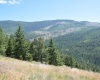 Comstock Mine Rd, Colville, Washington 99114, 0 , 0 ,0,Special Use,For Sale,Comstock Mine Rd,0,270065