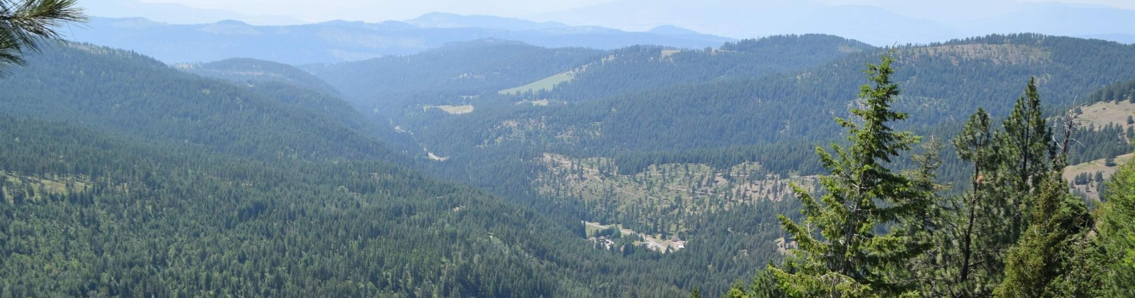 Comstock Mine Rd, Colville, Washington 99114, 0 , 0 ,0,Special Use,For Sale,Comstock Mine Rd,0,270065