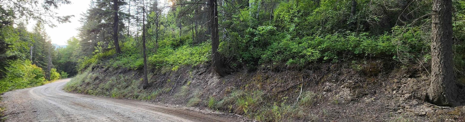 Comstock Mine Rd, Colville, Washington 99114, 0 , 0 ,0,Special Use,For Sale,Comstock Mine Rd,0,270065