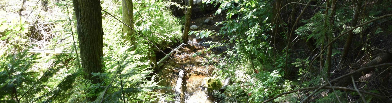 Comstock Mine Rd, Colville, Washington 99114, 0 , 0 ,0,Special Use,For Sale,Comstock Mine Rd,0,270065