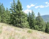 Comstock Mine Rd, Colville, Washington 99114, 0 , 0 ,0,Special Use,For Sale,Comstock Mine Rd,0,270065