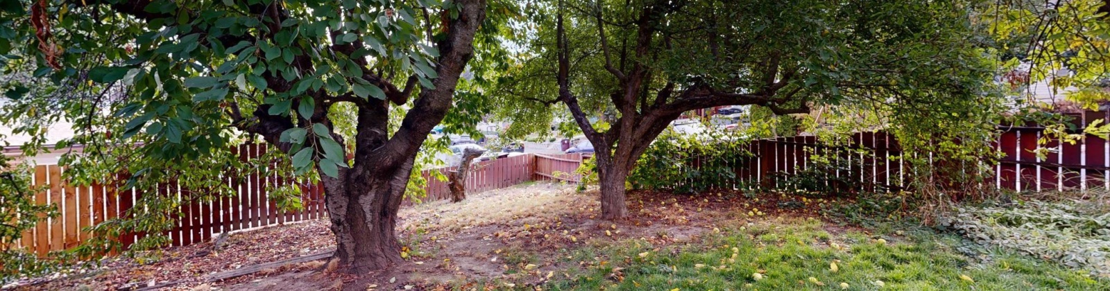 Summer St., Pullman, Washington 99163, 3 Bedrooms Bedrooms, 0 ,3 BathroomsBathrooms,Houses,For Sale,Summer St.,0,288404