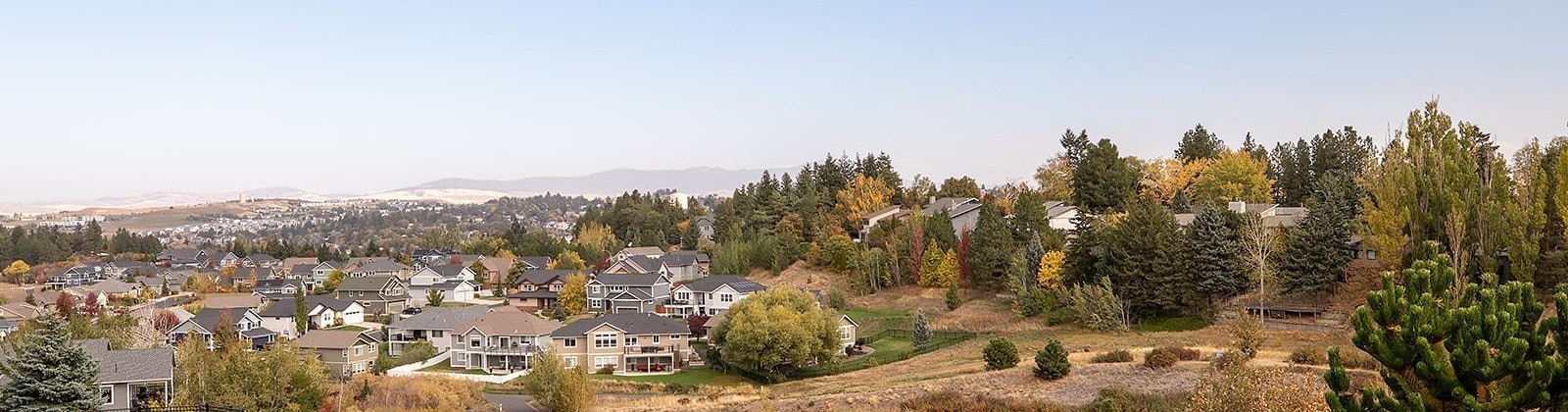 Itani Dr, Pullman, Washington 99163, 4 Bedrooms Bedrooms, 0 ,4 BathroomsBathrooms,Houses,For Sale,Itani Dr,0,289897