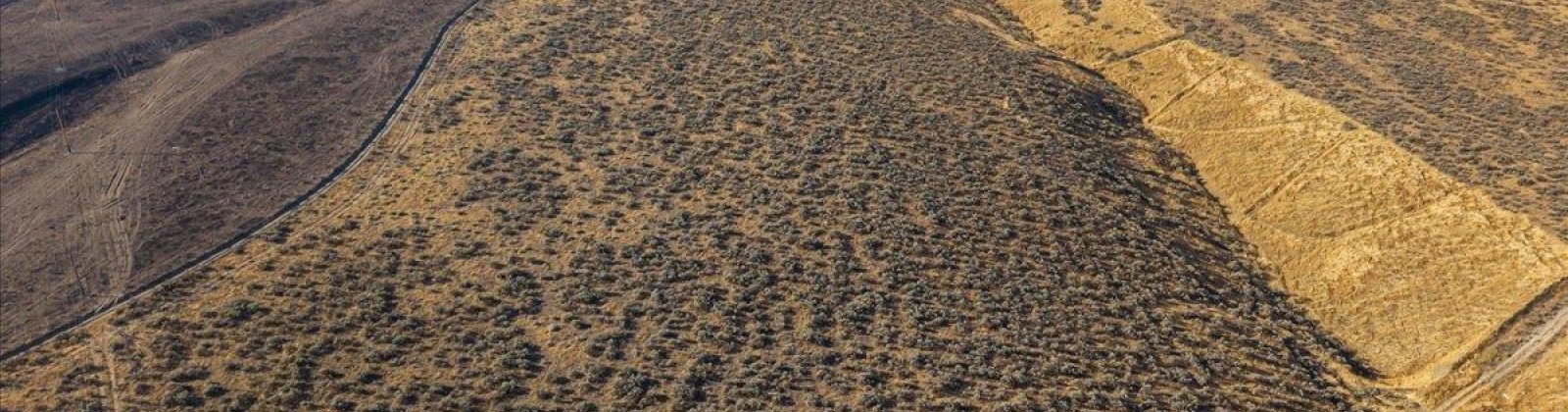 506 PR SE, Benton City, Washington 99320, 0 , 0 ,0,Land/lots,For Sale,506 PR SE,0,289922