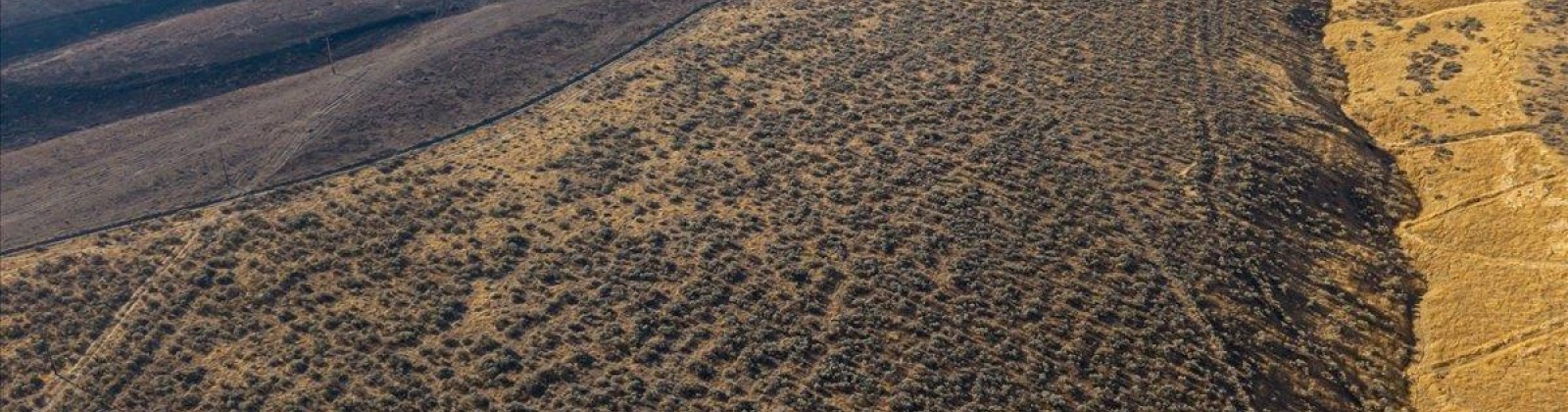 506 PR SE, Benton City, Washington 99320, 0 , 0 ,0,Land/lots,For Sale,506 PR SE,0,289922