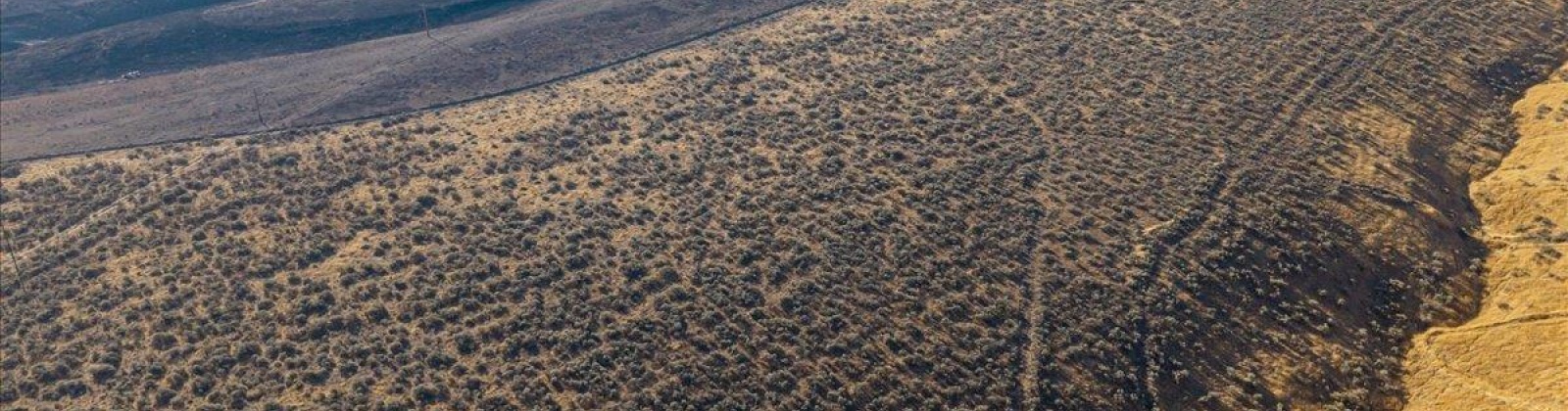 506 PR SE, Benton City, Washington 99320, 0 , 0 ,0,Land/lots,For Sale,506 PR SE,0,289922