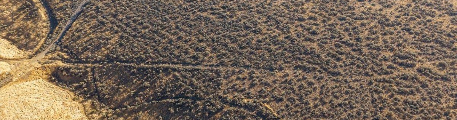 506 PR SE, Benton City, Washington 99320, 0 , 0 ,0,Land/lots,For Sale,506 PR SE,0,289922