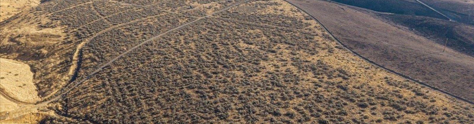 506 PR SE, Benton City, Washington 99320, 0 , 0 ,0,Land/lots,For Sale,506 PR SE,0,289922