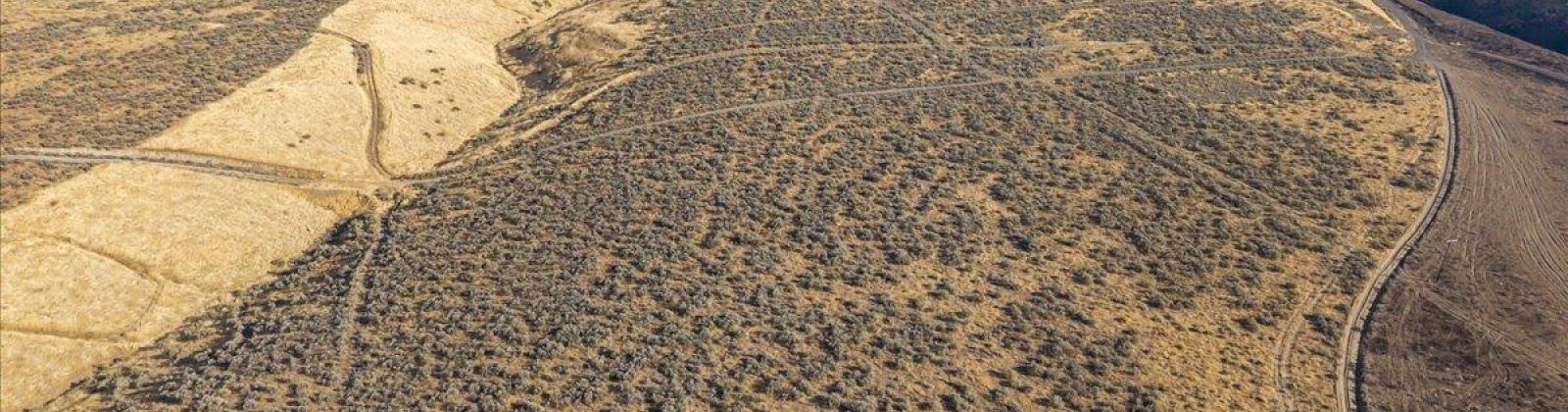 506 PR SE, Benton City, Washington 99320, 0 , 0 ,0,Land/lots,For Sale,506 PR SE,0,289922