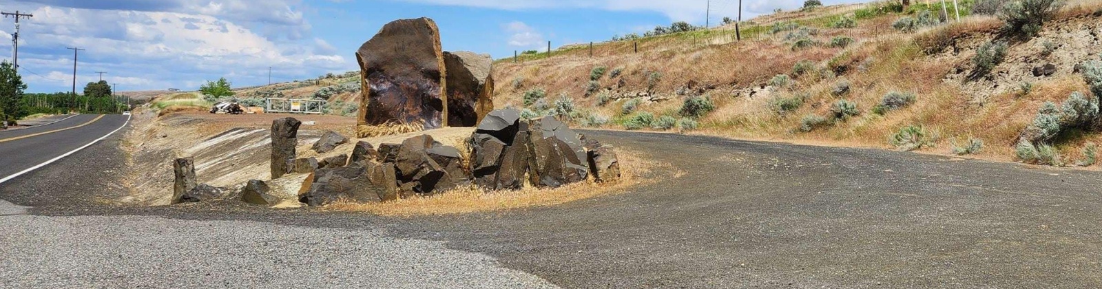 Demoss Rd, Benton City, Washington 99320, 0 , 0 ,0,Agricultural Land,For Sale,Demoss Rd,0,289976