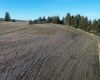 10th St. Land only, Garfield, Washington 99130, 0 , 0 ,0,Land/lots,For Sale,10th St. Land only,0,289994