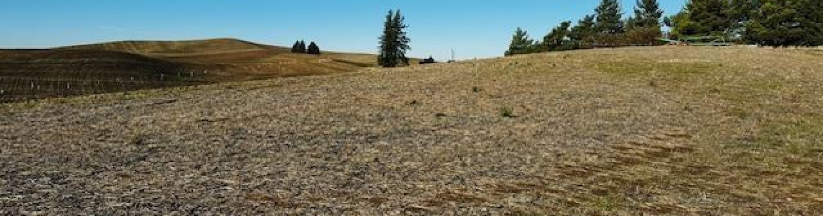 10th St. Land only, Garfield, Washington 99130, 0 , 0 ,0,Land/lots,For Sale,10th St. Land only,0,289994