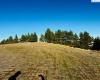 10th St. Land only, Garfield, Washington 99130, 0 , 0 ,0,Land/lots,For Sale,10th St. Land only,0,289994
