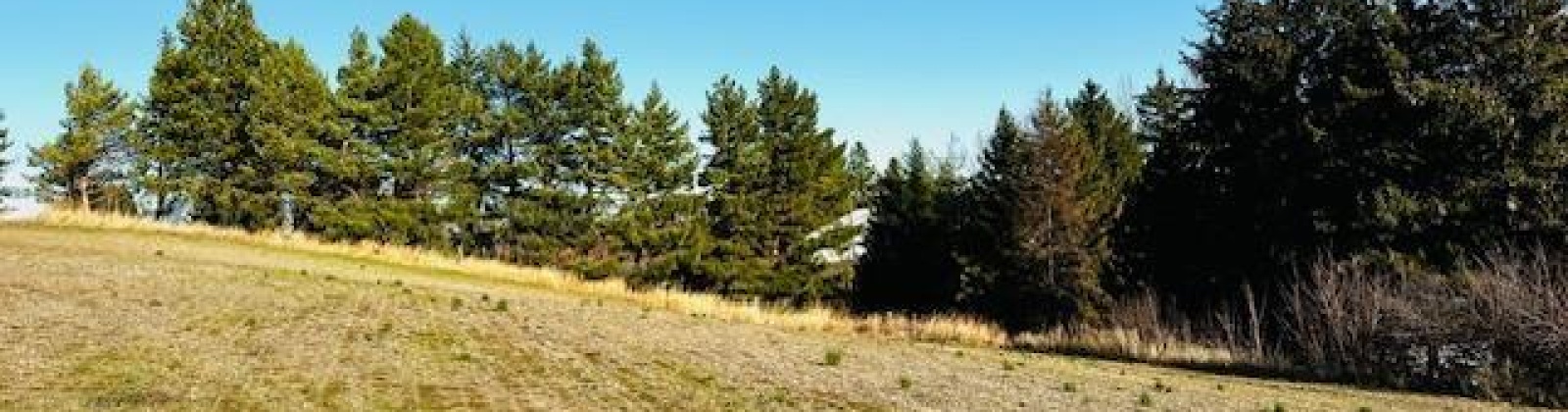 10th St. Land only, Garfield, Washington 99130, 0 , 0 ,0,Land/lots,For Sale,10th St. Land only,0,289994