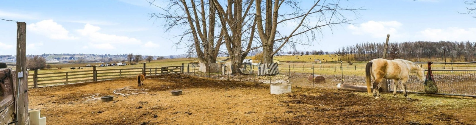 Van Belle Road, Sunnyside, Washington 98944, 5 Bedrooms Bedrooms, 0 ,2 BathroomsBathrooms,Houses,For Sale,Van Belle Road,0,290017