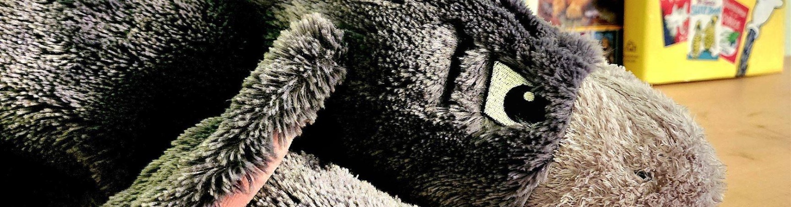 Forest Ave, Richland, Washington 99354, 4 Bedrooms Bedrooms, 0 ,3 BathroomsBathrooms,Houses,For Sale,Forest Ave,0,290018