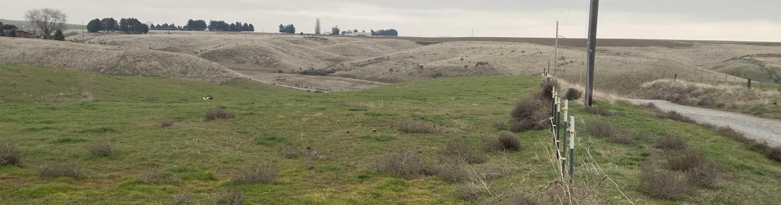 Villifan Rd, Pasco, Washington 99301, 0 , 0 ,0,Land/lots,For Sale,Villifan Rd,0,290034