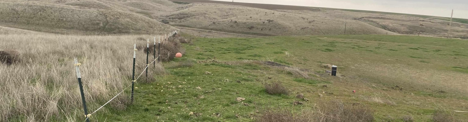 Villifan Rd, Pasco, Washington 99301, 0 , 0 ,0,Land/lots,For Sale,Villifan Rd,0,290034