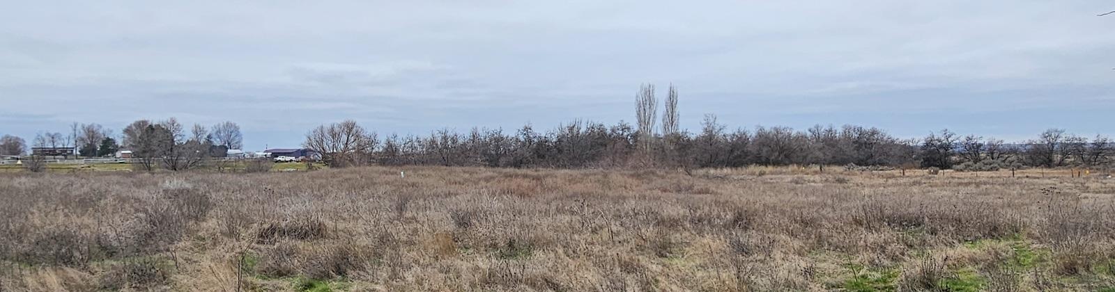 Hendricks Road, Connell, Washington 99326, 4 Bedrooms Bedrooms, 0 ,2 BathroomsBathrooms,Manufactured Homes,For Sale,Hendricks Road,0,290033