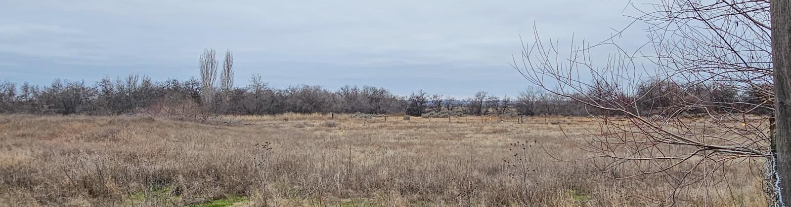 Hendricks Road, Connell, Washington 99326, 4 Bedrooms Bedrooms, 0 ,2 BathroomsBathrooms,Manufactured Homes,For Sale,Hendricks Road,0,290033