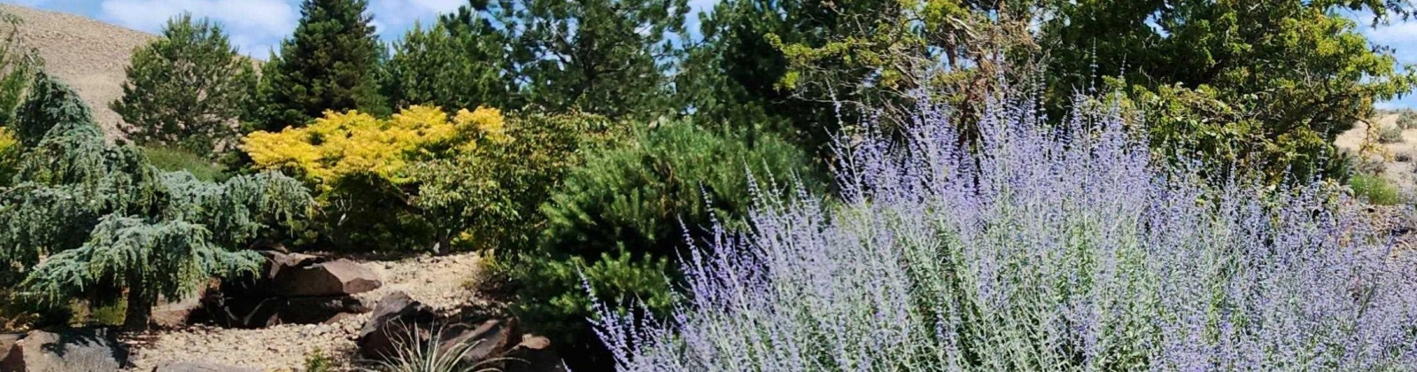 Alaska (Lot 2 Phase 8), Kennewick, Washington 99338, 0 , 0 ,0,Land/lots,For Sale,Alaska (Lot 2 Phase 8),0,290026