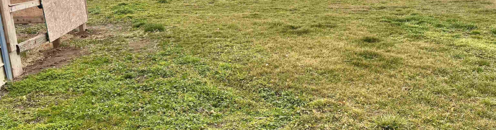 Ruby, Pasco, Washington 99301, 3 Bedrooms Bedrooms, 0 ,2 BathroomsBathrooms,Manufactured Homes,For Sale,Ruby,0,289683