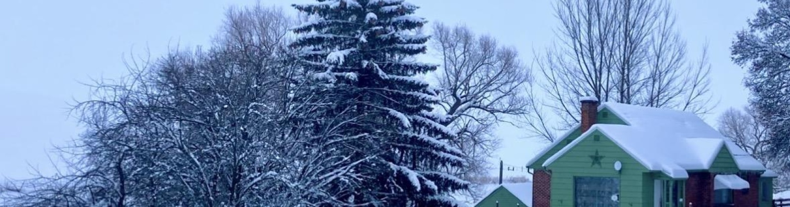 Carothers Rd, Pullman, Washington 99163-9681, 3 Bedrooms Bedrooms, 0 ,1 BathroomBathrooms,Houses,For Sale,Carothers Rd,0,290070