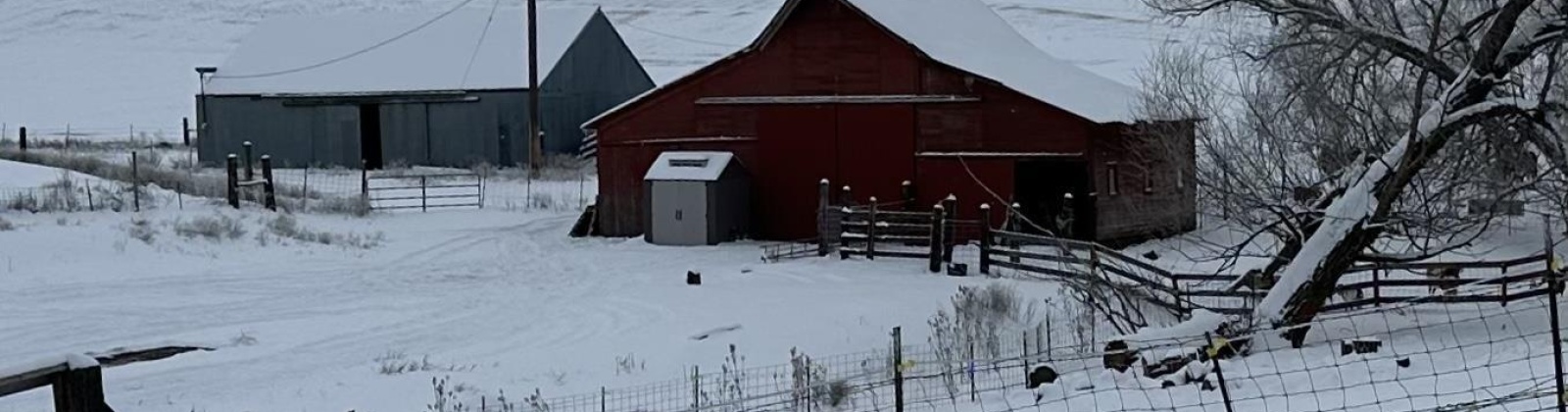 Carothers Rd, Pullman, Washington 99163-9681, 3 Bedrooms Bedrooms, 0 ,1 BathroomBathrooms,Houses,For Sale,Carothers Rd,0,290070