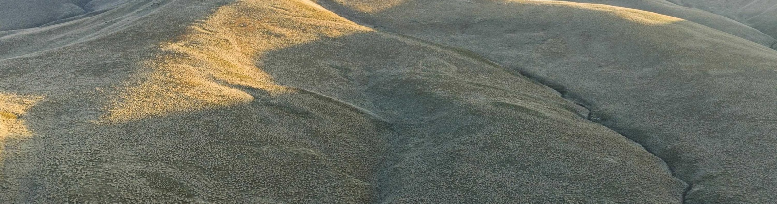 1522 PR SW, Prosser, Washington 99350, 0 , 0 ,0,Land/lots,For Sale,1522 PR SW,0,290108