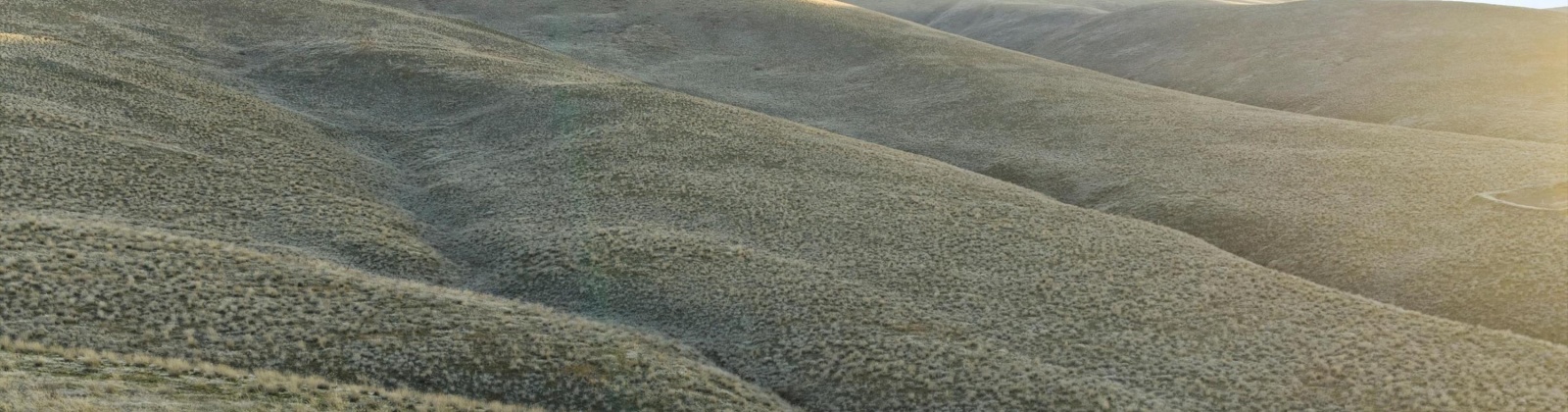 1522 PR SW, Prosser, Washington 99350, 0 , 0 ,0,Land/lots,For Sale,1522 PR SW,0,290108