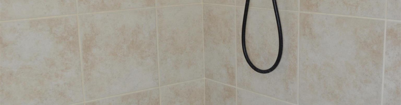 Hannah St., Pullman, Washington 99163, 4 Bedrooms Bedrooms, 0 ,2 BathroomsBathrooms,Houses,For Sale,Hannah St.,0,290126