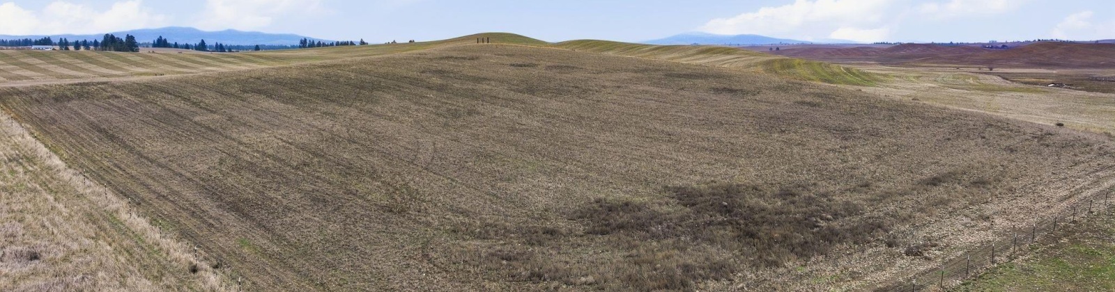 Watt, Spangle, Washington 99031, 3 Bedrooms Bedrooms, 0 ,2 BathroomsBathrooms,Manufactured Homes,For Sale,Watt,0,290117