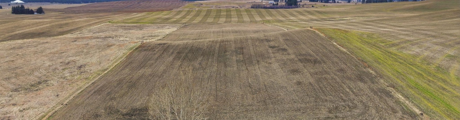 Watt, Spangle, Washington 99031, 3 Bedrooms Bedrooms, 0 ,2 BathroomsBathrooms,Manufactured Homes,For Sale,Watt,0,290117